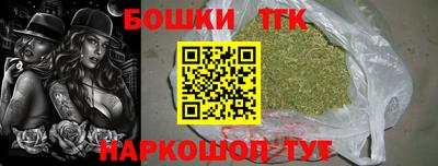 крисы Коммунар
