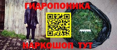 крисы Коммунар