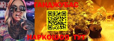 крисы Коммунар