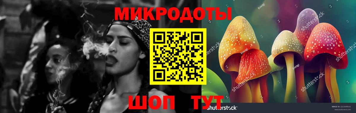 Галлюциногенные грибы Psilocybe Кудрово