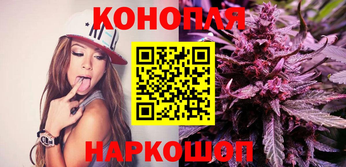Шишки марихуана планчик Кудрово